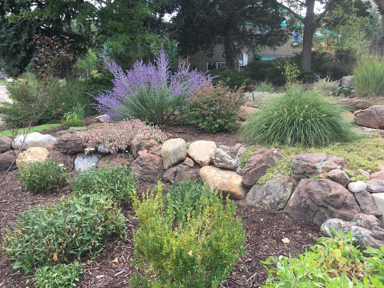 Custom Backyard Design