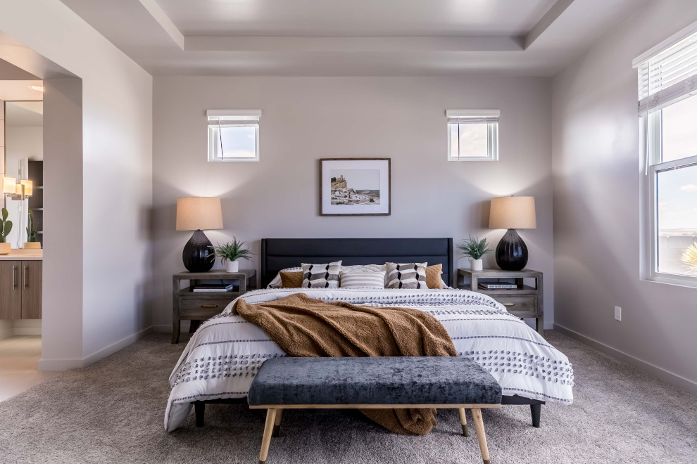 This is an example of a contemporary bedroom in Albuquerque.