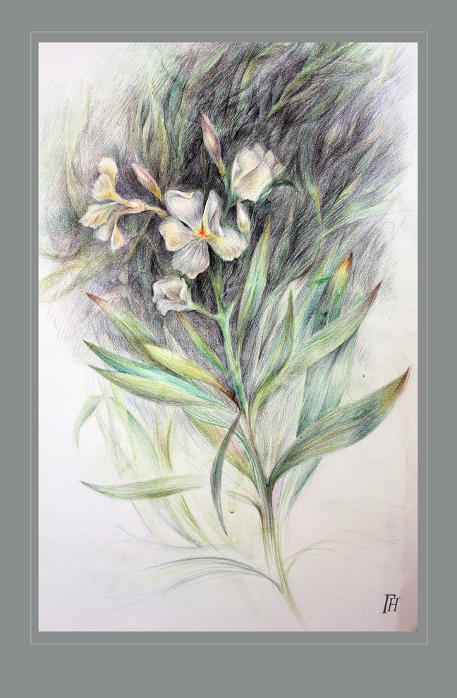 Акварельная графика