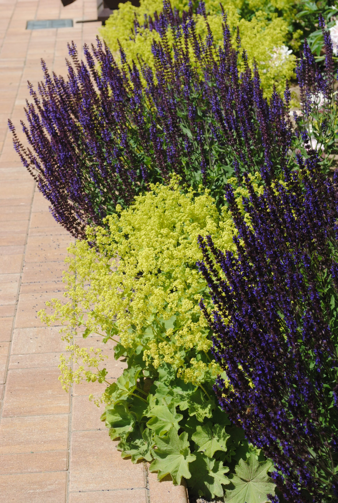 КП Зеленый мыс