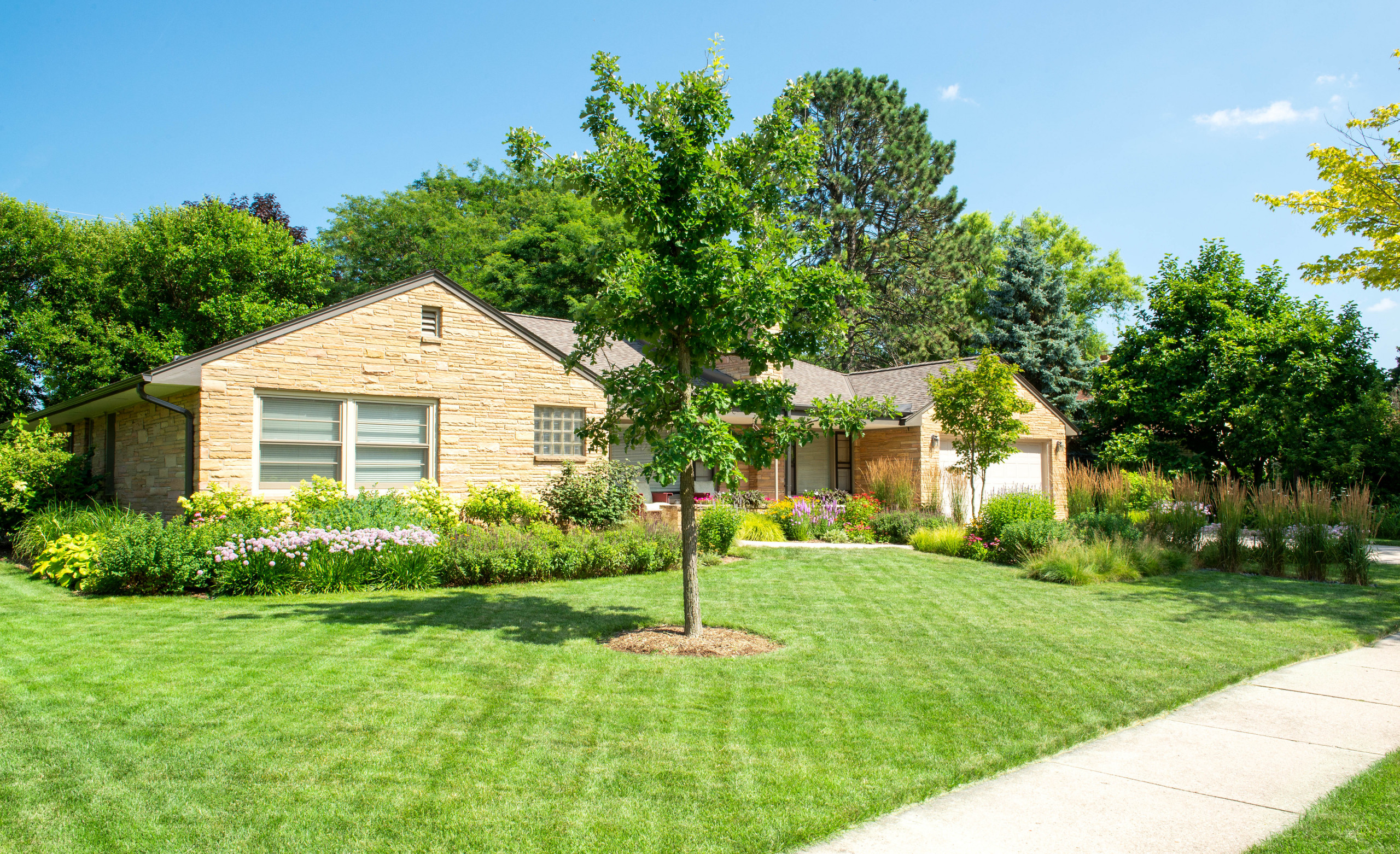 Mid-Century Accessible Landscape - Wauwatosa, WI