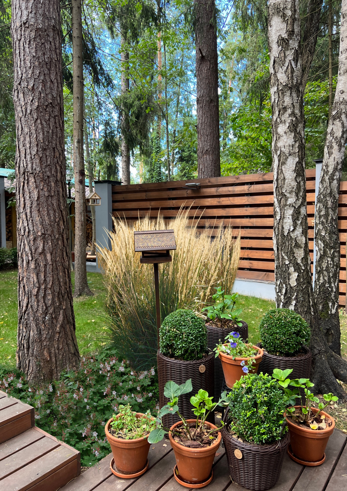 КП Никологорское (проект)