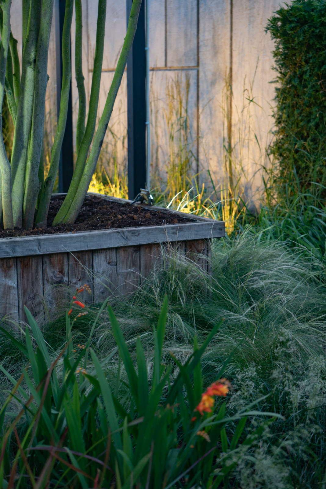 Архитектура природы