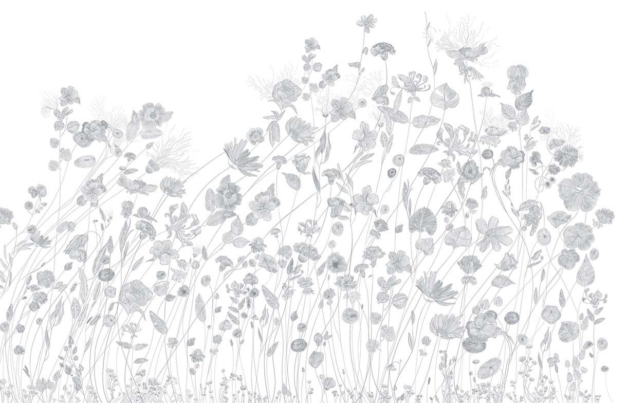 Обои с цветами