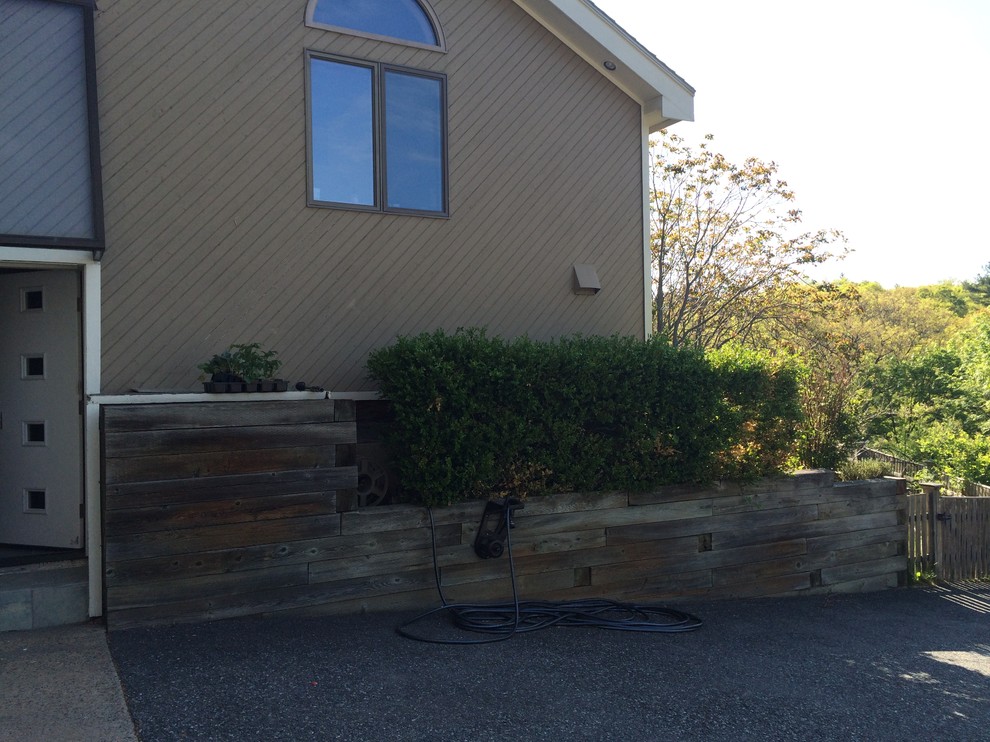 Replace boxwood hedge with