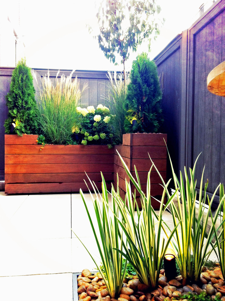 Inspiration for a contemporary backyard patio in New York with a container garden and concrete pavers.