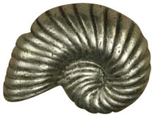 Nautilus Medium Knob