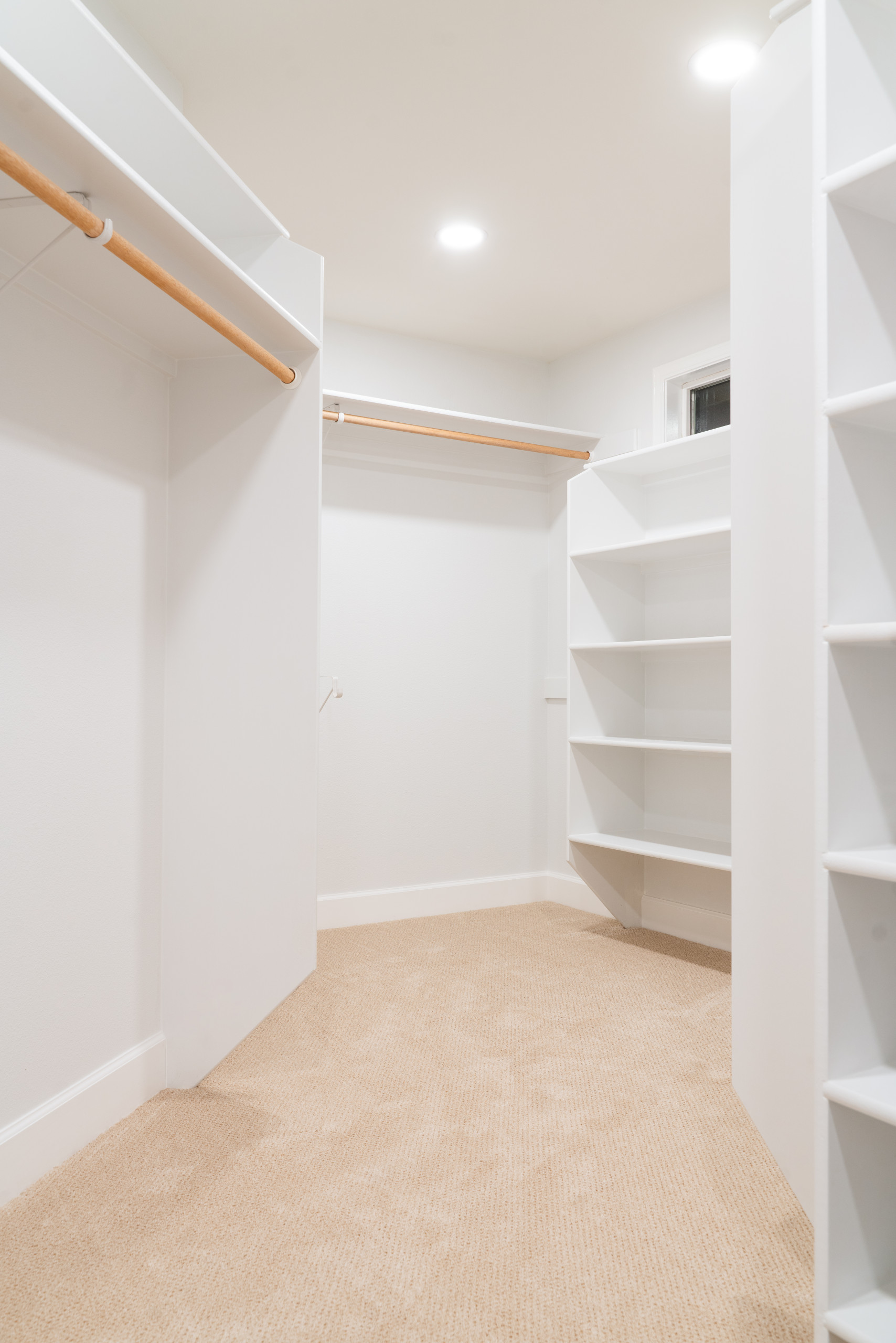 Whole House Remodel