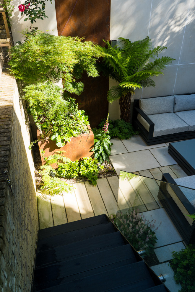 This is an example of a small modern back driveway fully shaded garden in London with a living wall.