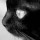 pulin76__
