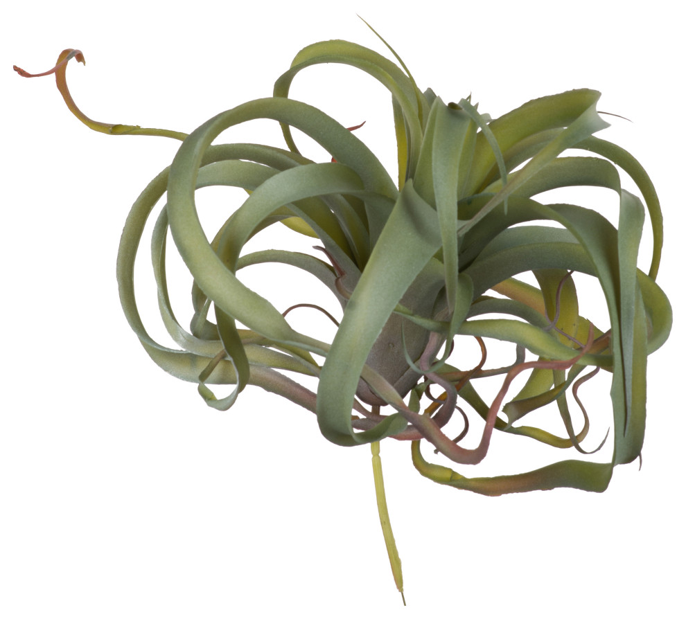 Faux Air Plant Light Green 12x12x8" Transitional Artificial Plants