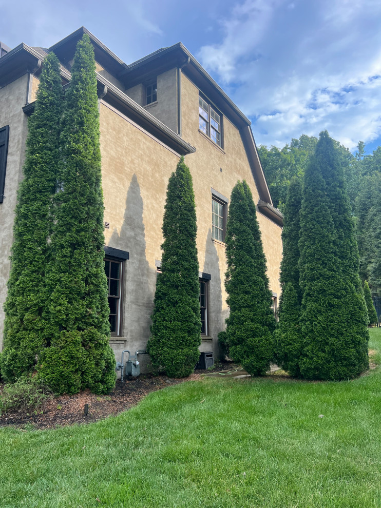 Cedar Shutter Restoration