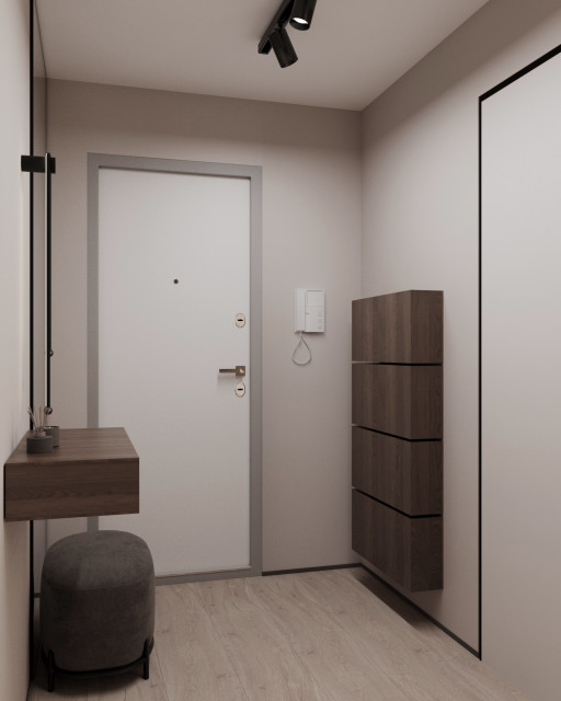 Квартира 50м2 modern-eingang