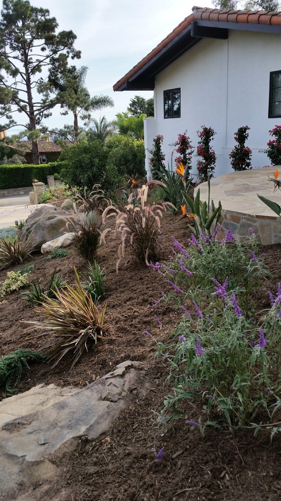 Large mediterranean front yard full sun xeriscape in Orange County with a garden path and mulch for spring.
