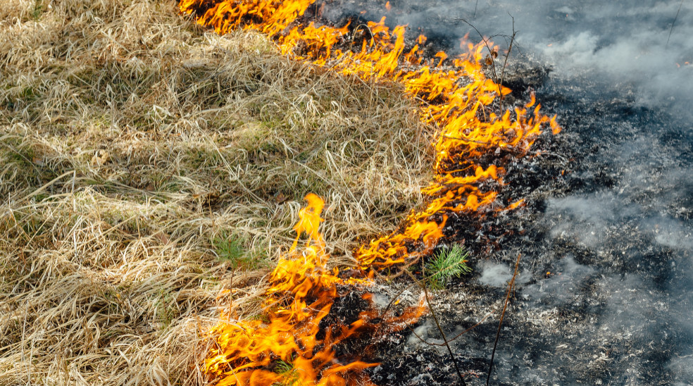 grass fire