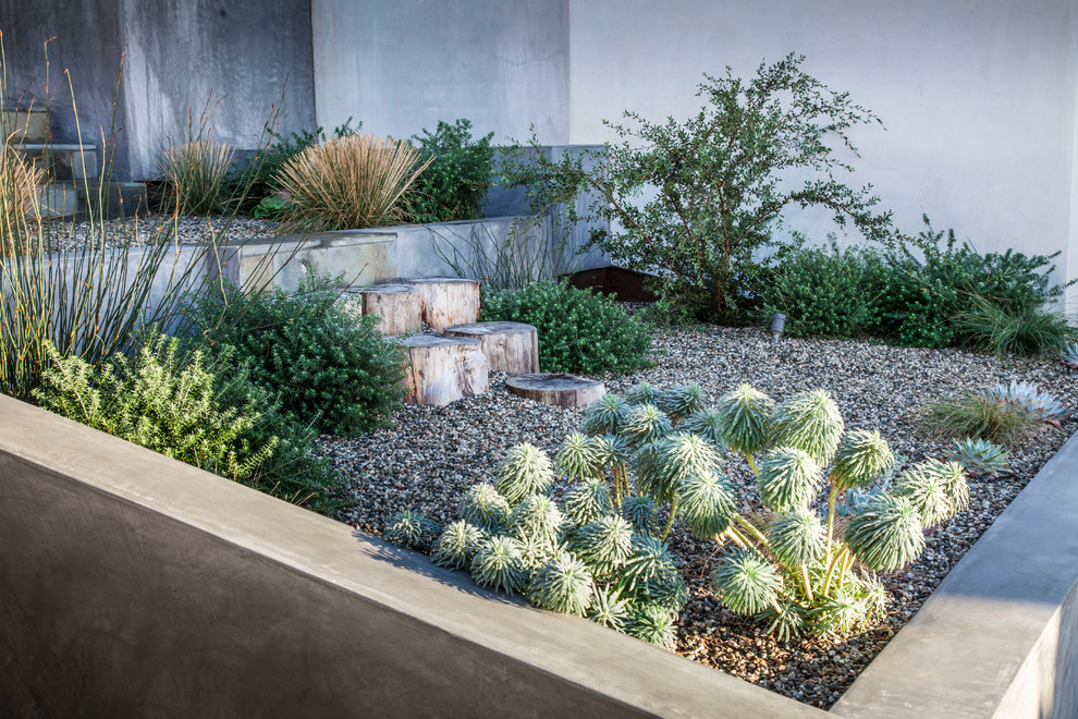 Design ideas for a modern garden in Los Angeles.