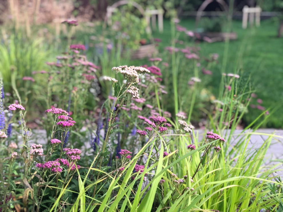 Русские Забавы, лето 2018, первый год жизни сада