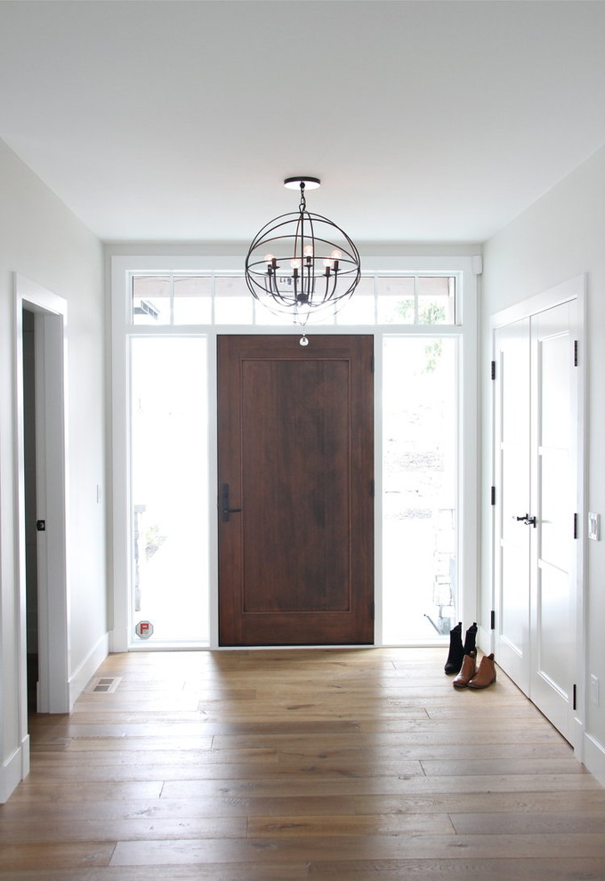 Inspiration for a large transitional front door in Other with white walls, medium hardwood floors, a dark wood front door and brown floor.