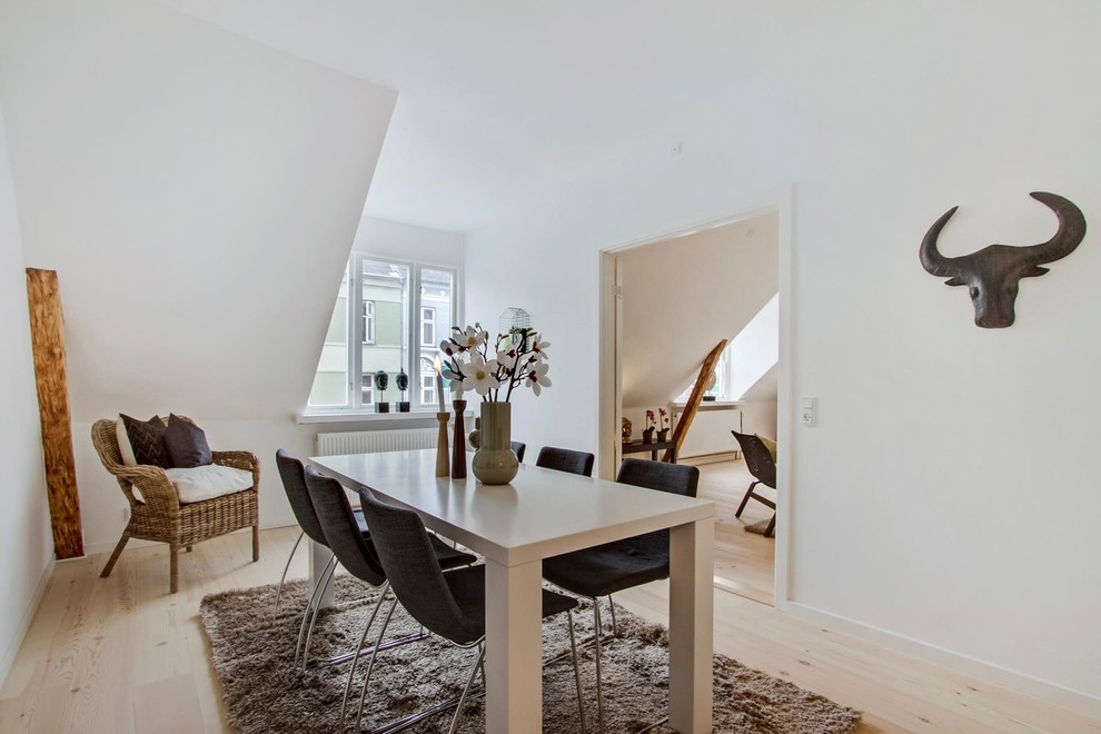 Design ideas for a transitional dining room in Copenhagen.