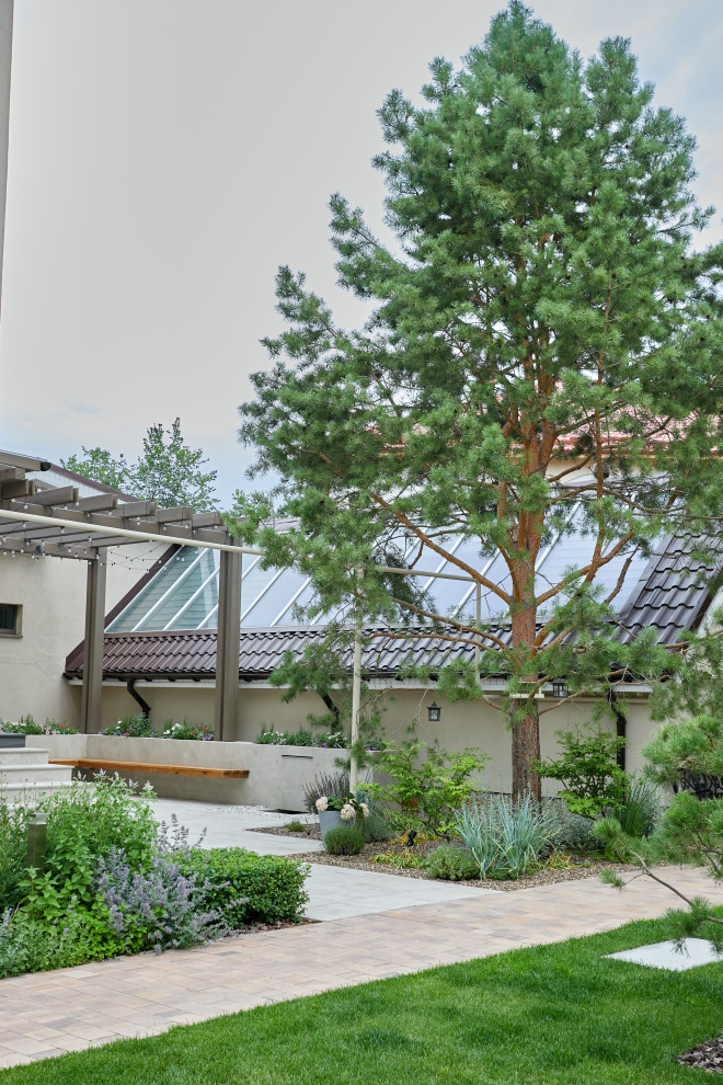 Чистые линии