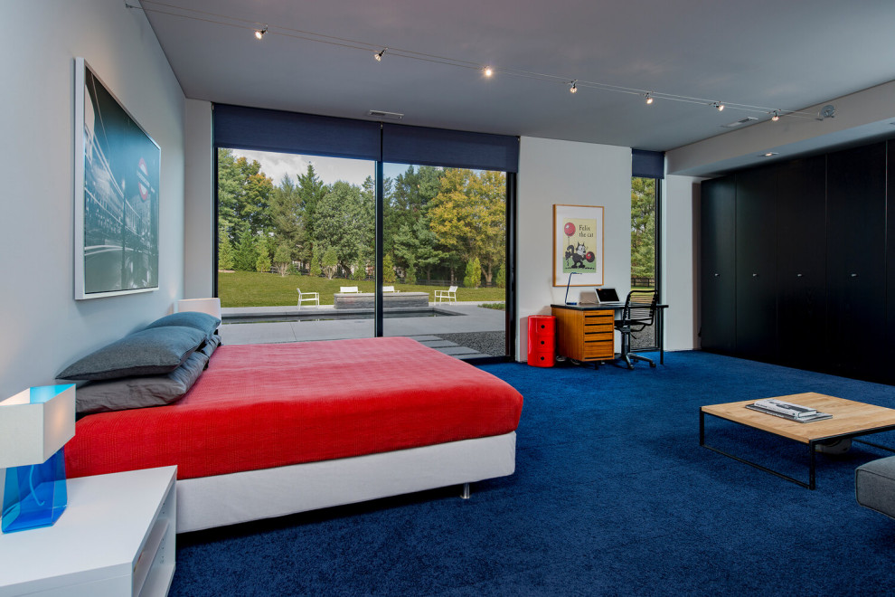 Esempio di una grande camera degli ospiti minimal con pareti bianche, moquette, pavimento blu e soffitto ribassato