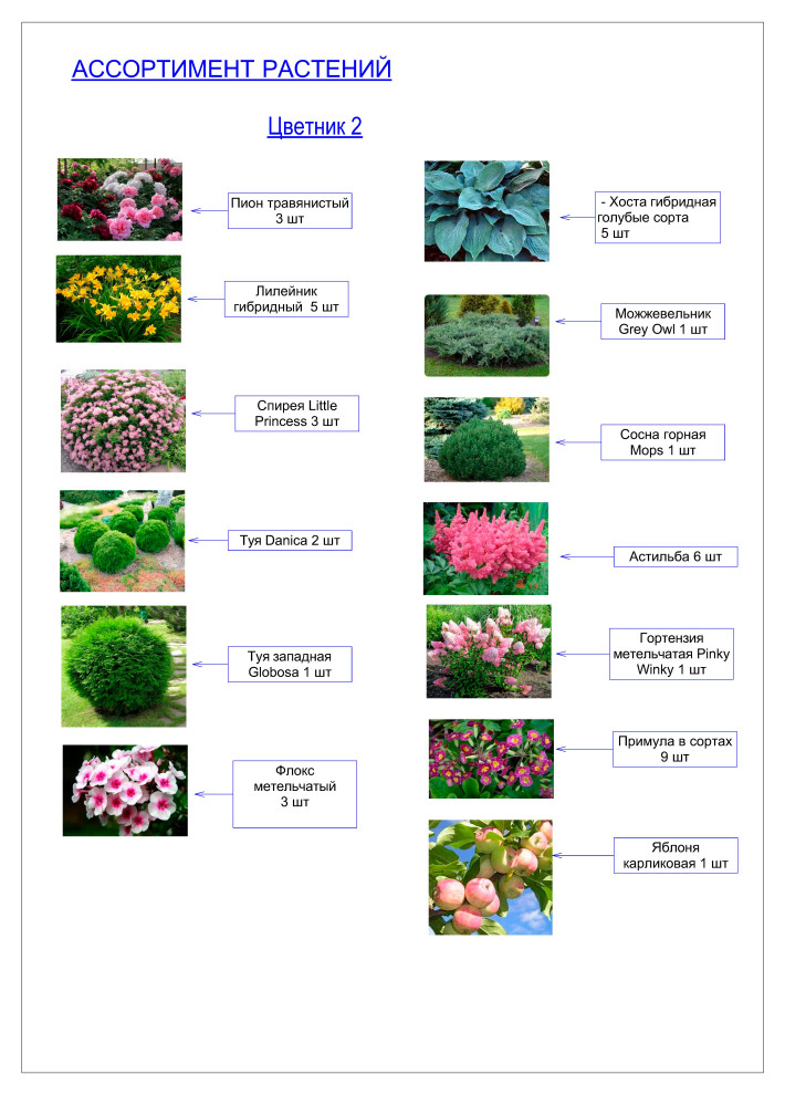 Ассортиментная ведомость