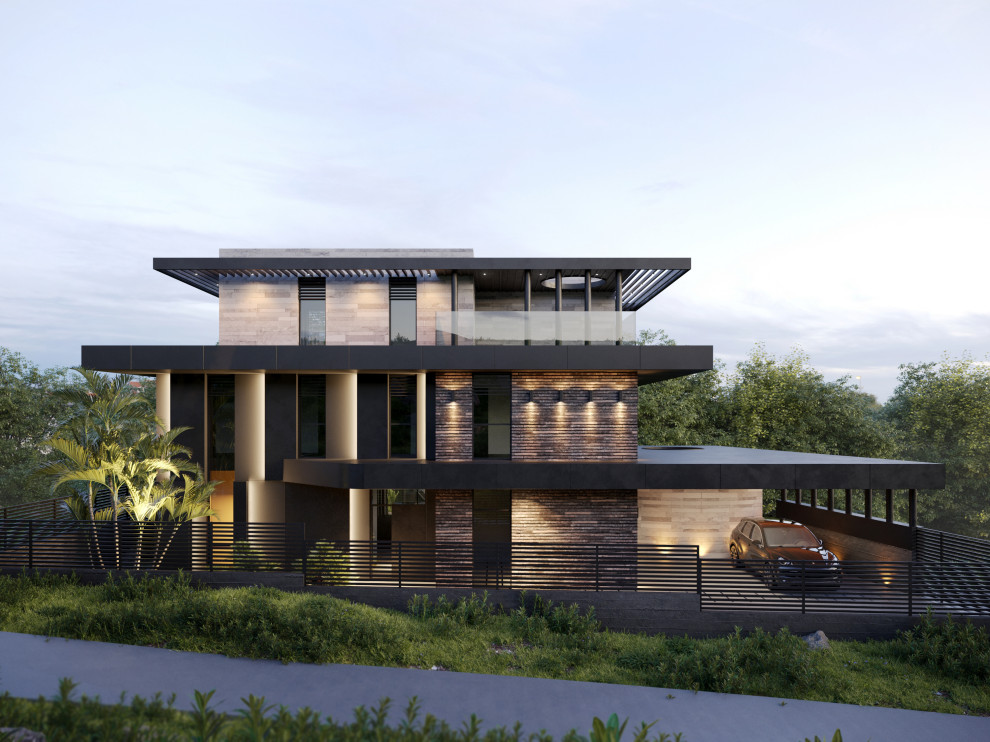 Темная Акация