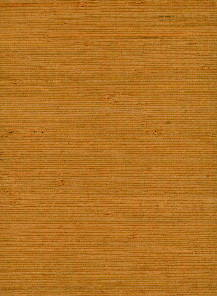 Orange Jute Grasscloth Wallpaper - Contemporary - Wallpaper - by