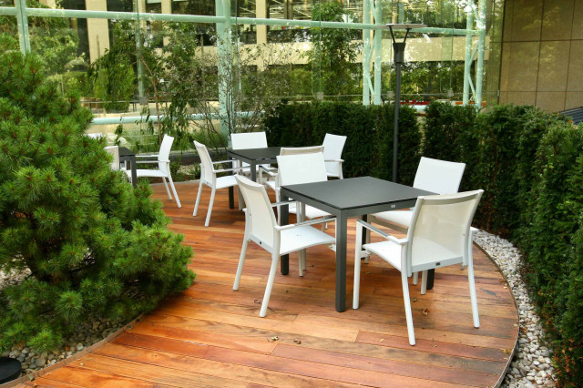 Large Courtyard Dining Area traedaeck