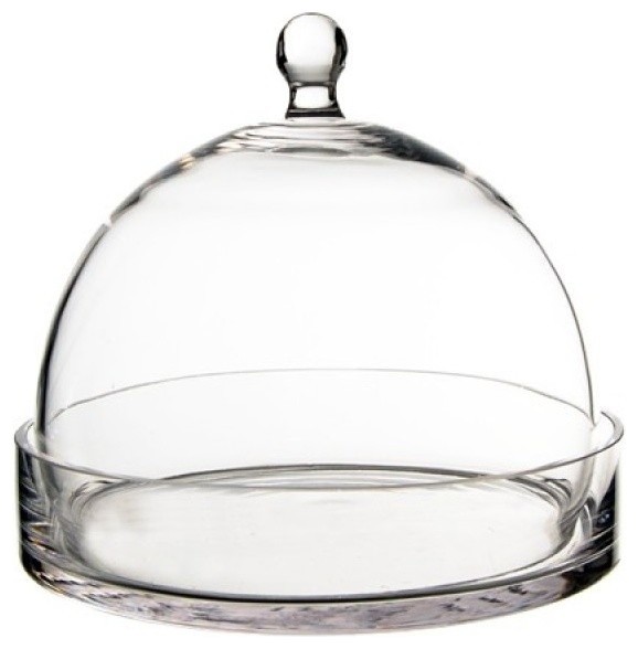 CYS Glass Dome Cloche Bell Jar With Tray Contemporary Terrariums