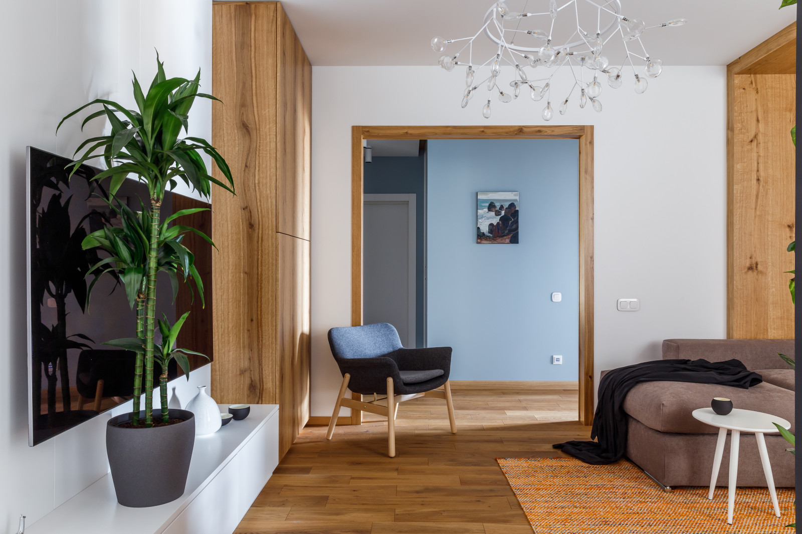 Квартира с фито-стеной и яркими акцентами в Москве