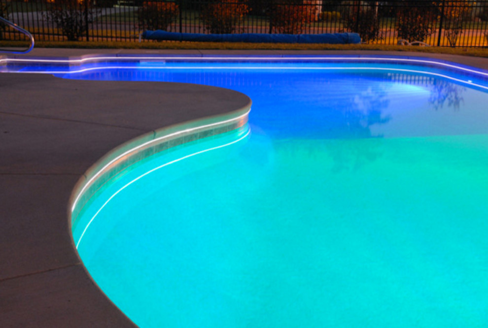 Pool - large contemporary backyard concrete and custom-shaped lap pool idea