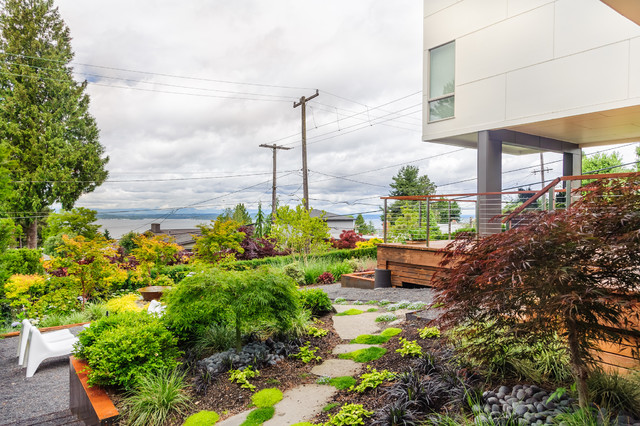 Othello Residence contemporary-garden