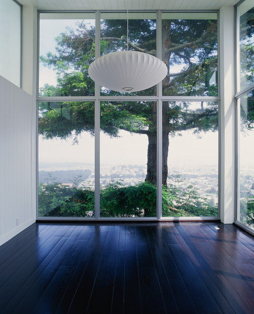 Tree House contemporary-living-room