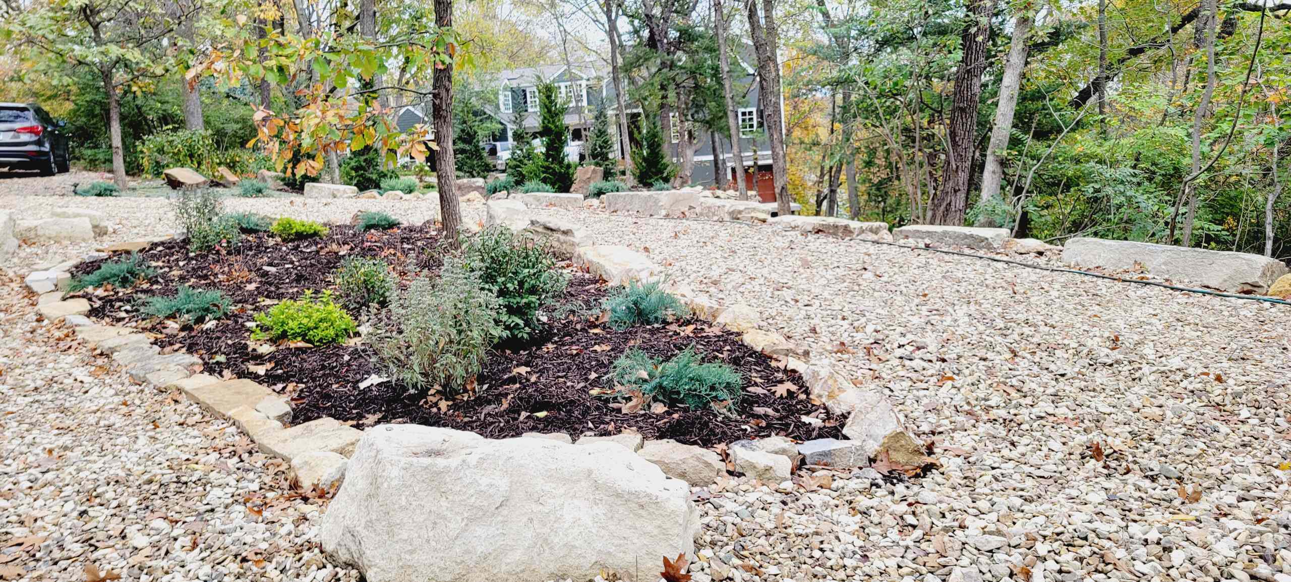 Woodland Restoration