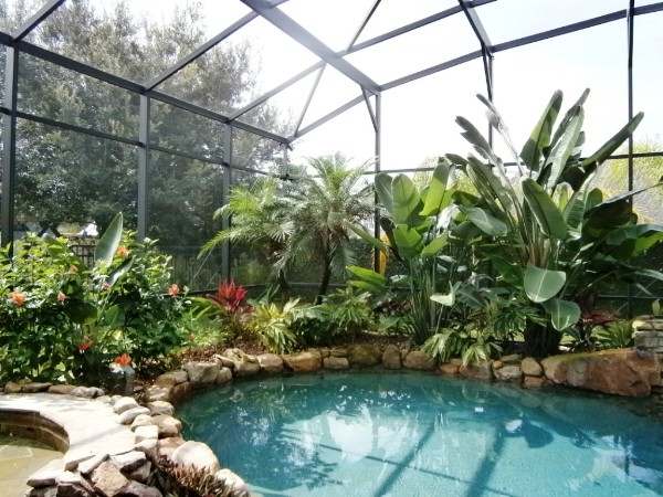 Lake Mary Heathrow Fl Tropical Pool Landscape Design Lake Mary Heathrow Fl Tropical Pool Landscape Design Garden