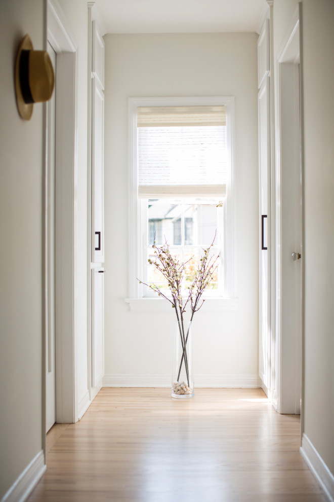 Inspiration for a mid-sized transitional hallway in Los Angeles with white walls, light hardwood floors and multi-coloured floor.