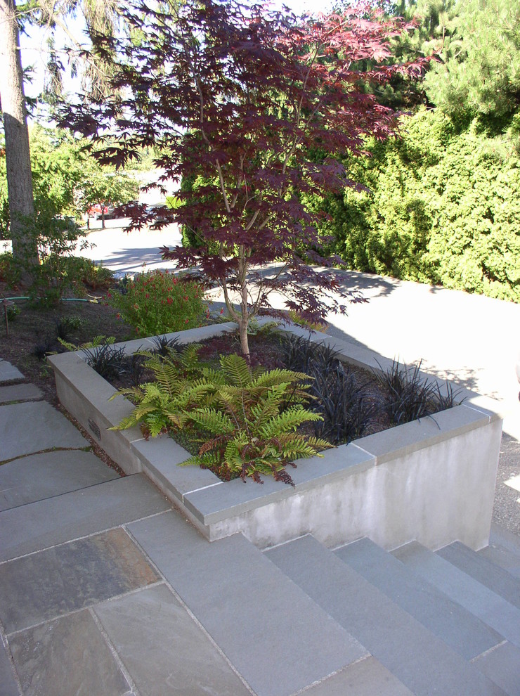 Mid-sized modern front yard full sun garden in Seattle with a garden path and natural stone pavers.
