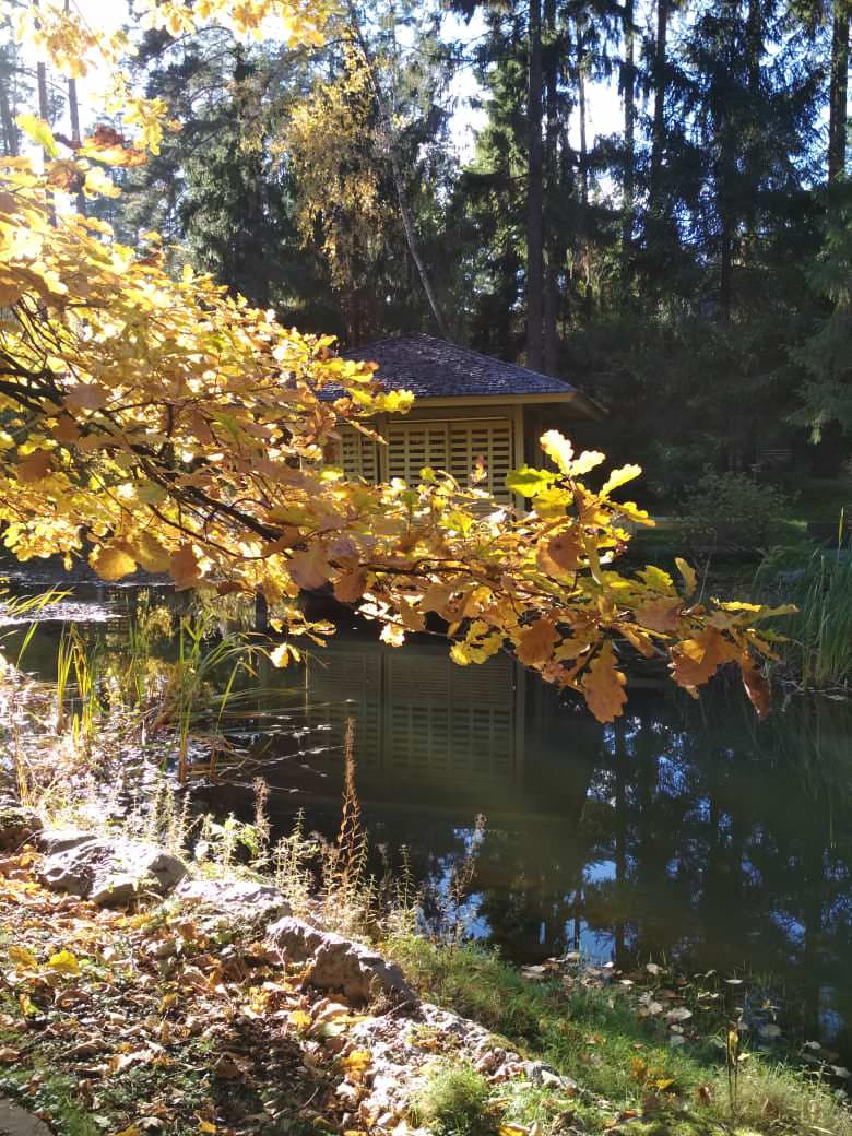 Сад с озером