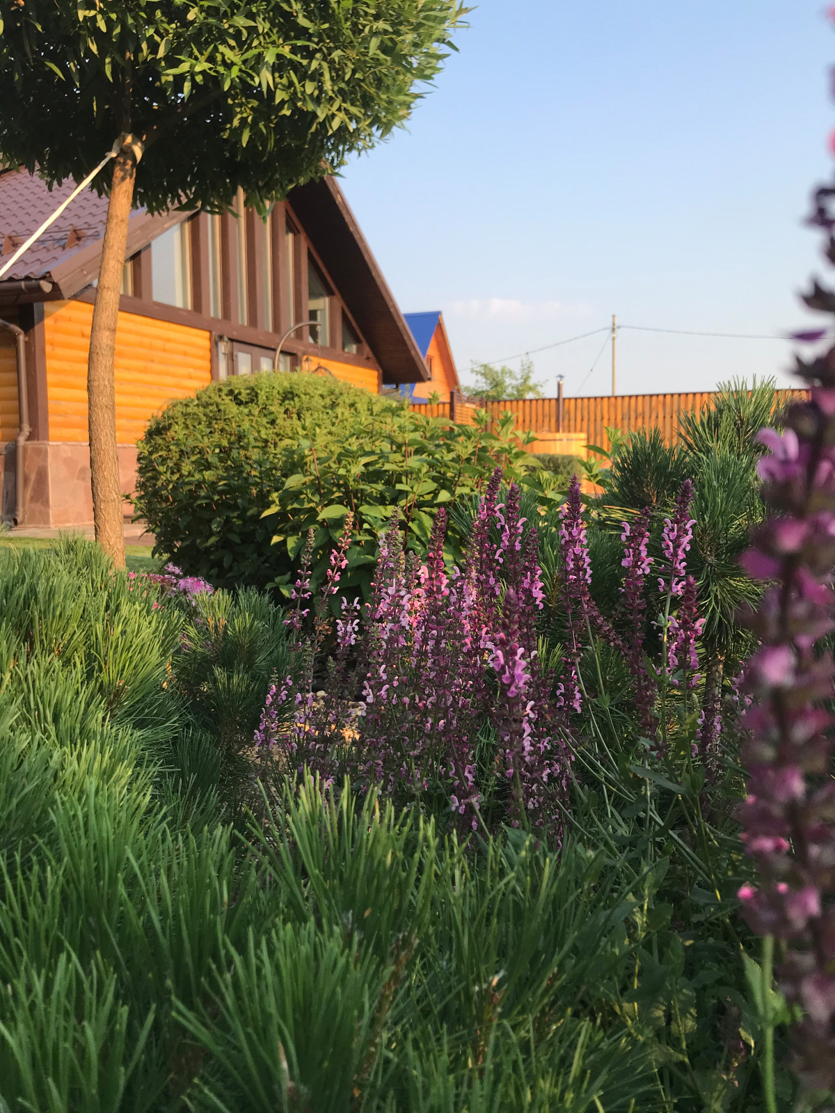 Садовый минимализм