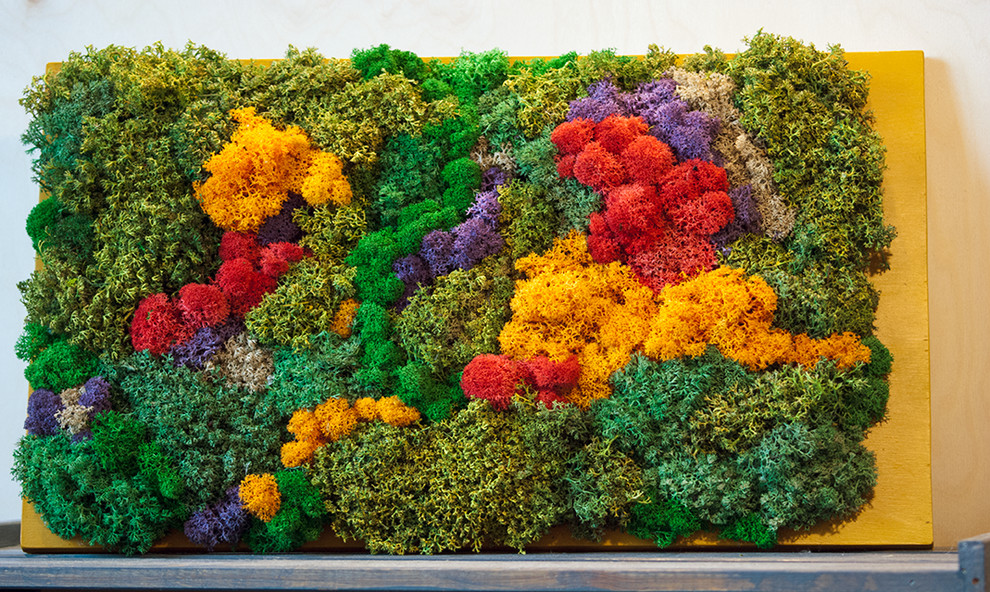 Фитокартины из мха