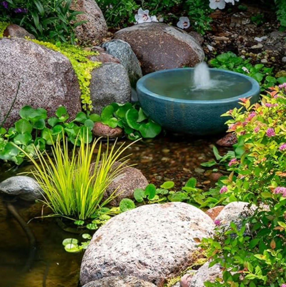 Water Feature