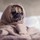 webuser_119625661