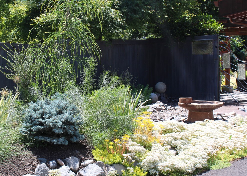 This is an example of a mid-sized contemporary front yard full sun xeriscape in Portland with a garden path.