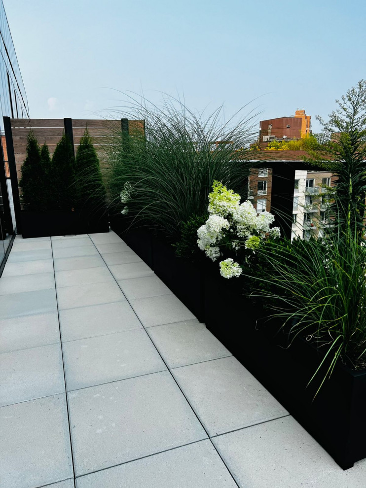 Esempio di un giardino minimal esposto a mezz'ombra di medie dimensioni e sul tetto in primavera con un giardino in vaso, pavimentazioni in cemento e recinzione in legno