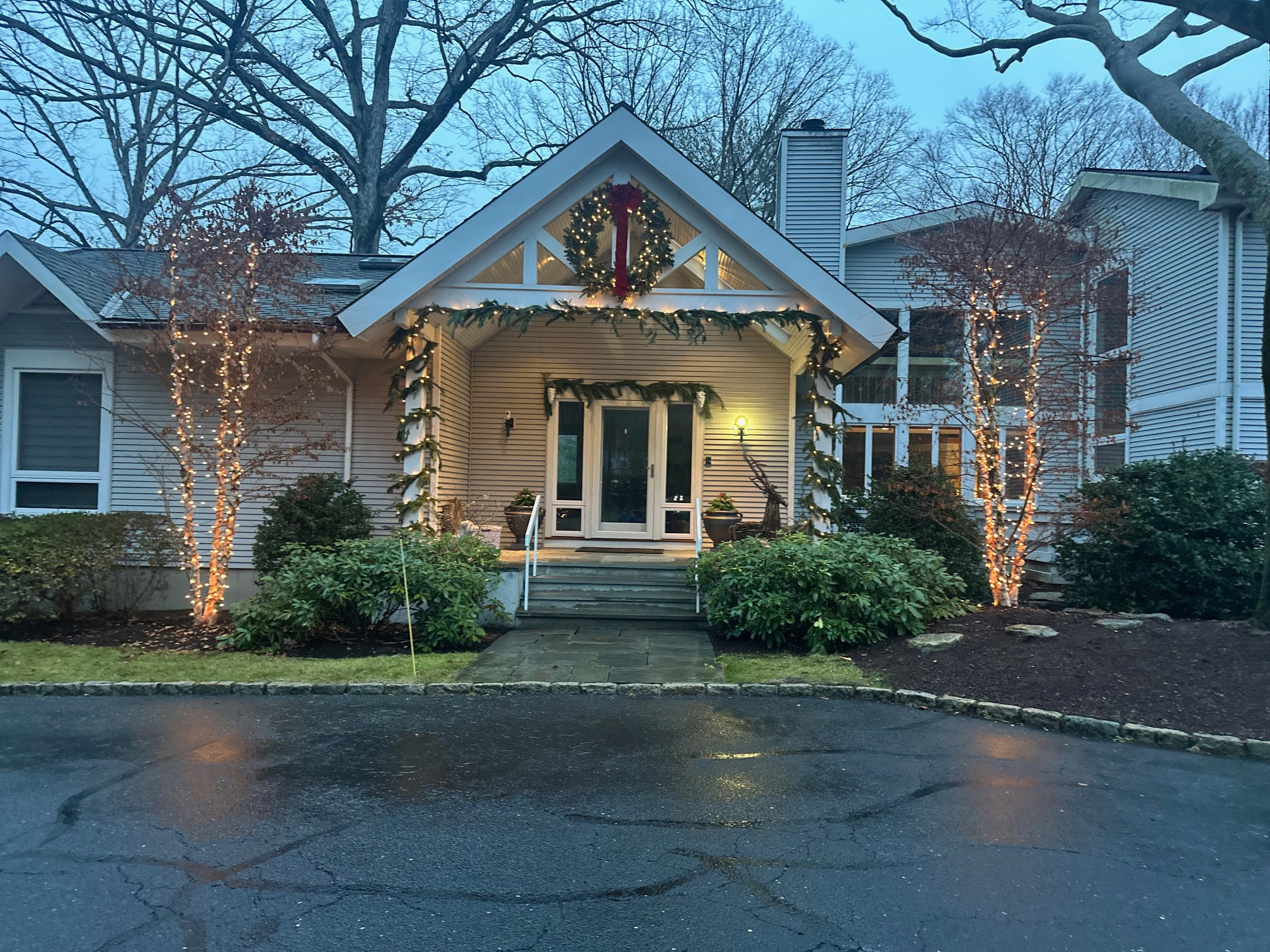 Christmas Decorations and Outdoor Lights
