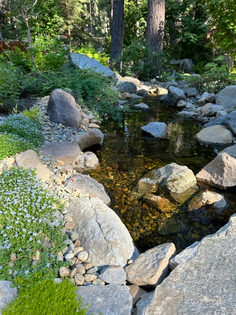 Tahoe Living