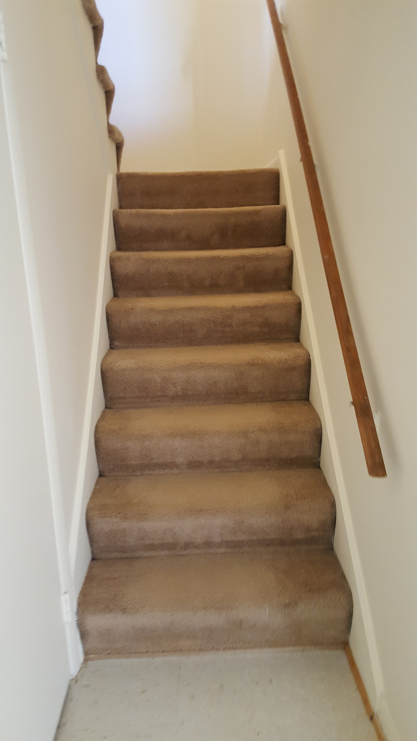 Entire Home Update/Remodel