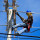 Electricals Ghana