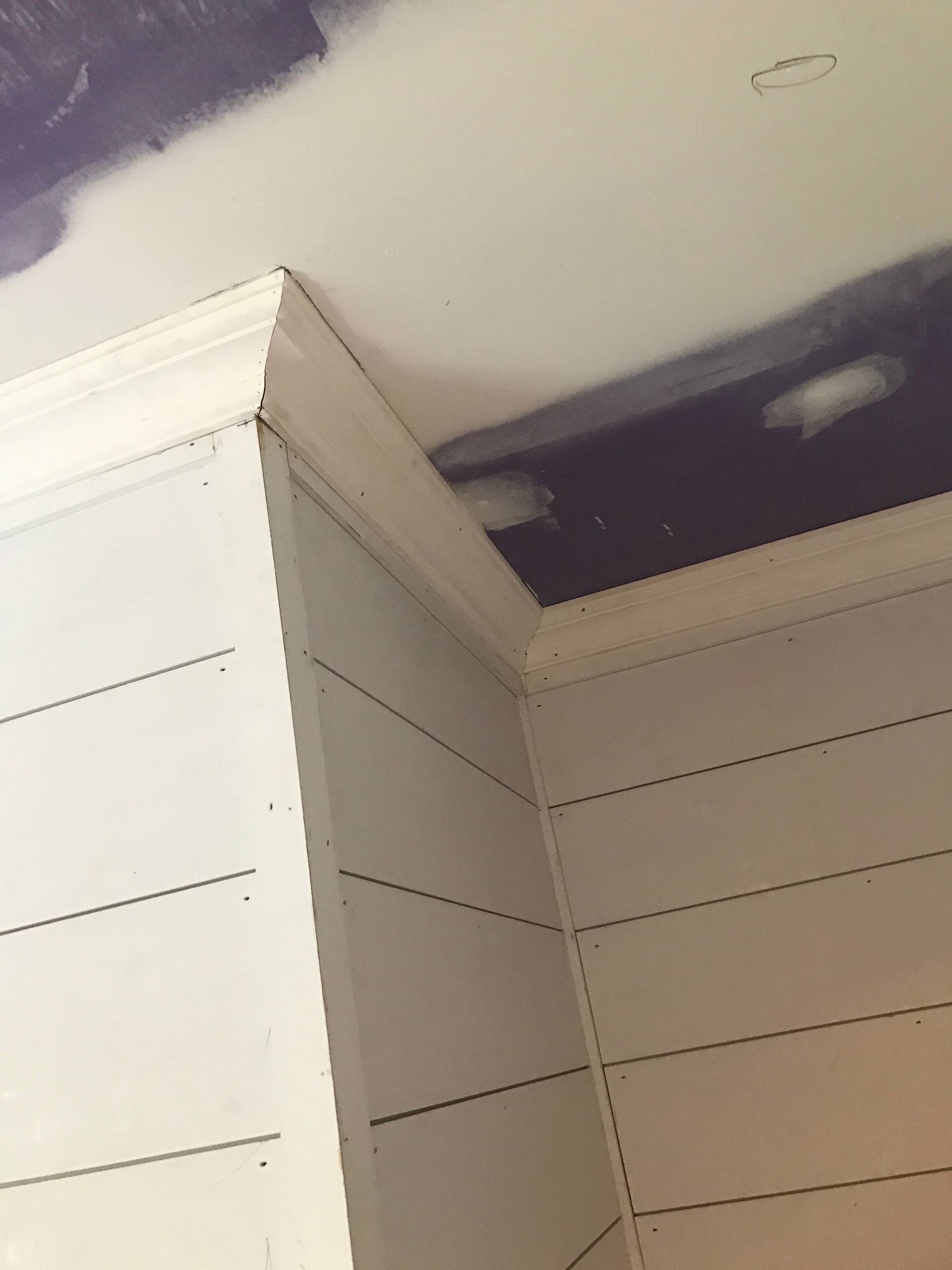 Ship-Lap Main Bathroom